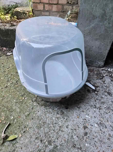 Photo of free XL plastic cat litter box (Dalston / Stoke Newington) #2