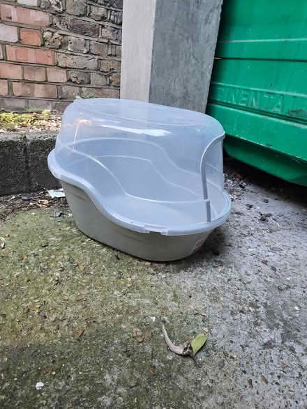 Photo of free XL plastic cat litter box (Dalston / Stoke Newington) #1