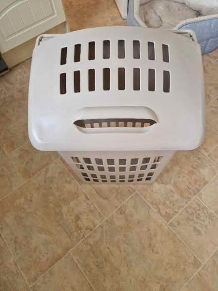 Photo of free 2 x plastic laundry hampers /storage (Up Hatherley GL51) #1