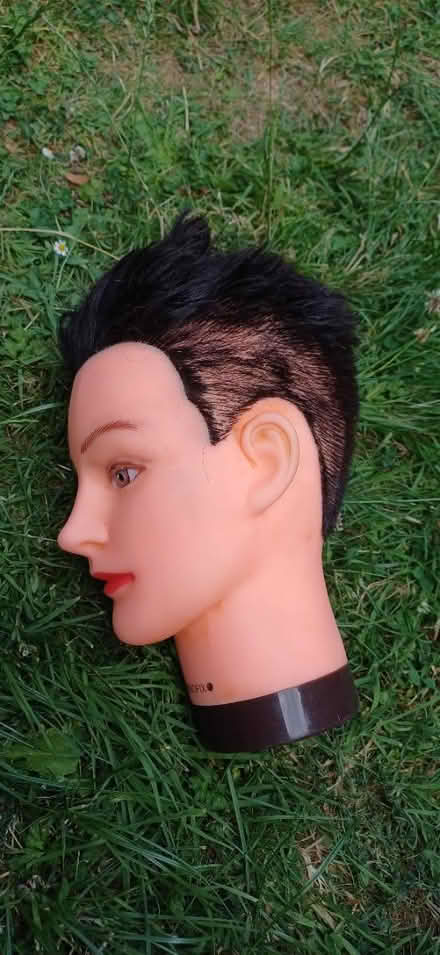 Photo of free Heads (Ng3 5lh) #2