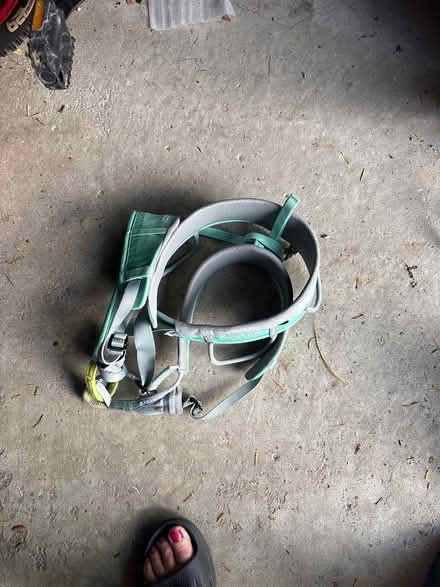 Photo of free Medium climbing harness (Mulock & Yonge St) #1