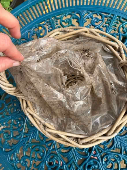 Photo of free Plant basket (Waterways OX2) #3