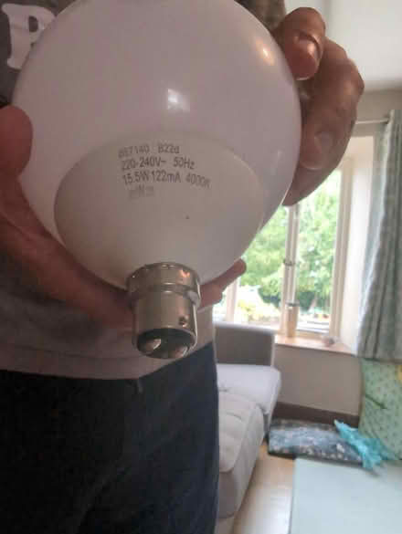 Photo of free Very large bulb (S6 hillsborough) #2