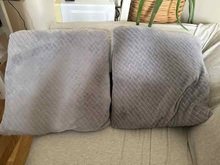 Photo of free Cushions (Pudding Mill Lane E15) #1