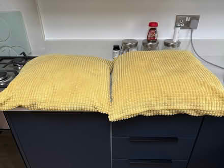 Photo of free Cushions (Wigston Leicester LE18 4UL) #1
