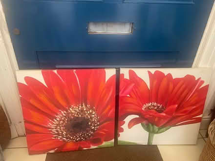 Photo of free Flower Canvas x 2 (L22 Waterloo) #1