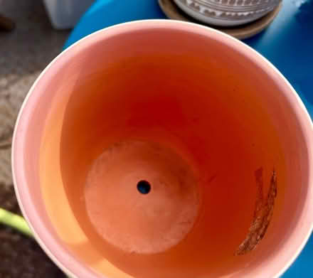 Photo of free Outdoor pots (Park view\Petworth) #4