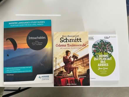 Photo of free French intermediate books (Twickenham TW1) #1