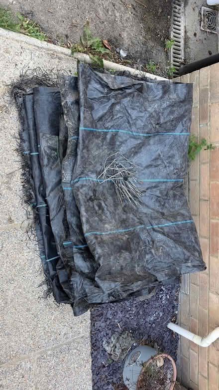 Photo of free Membrane (TN35 Ore) #1