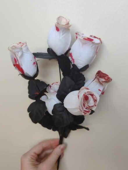 Photo of free Bunch of Halloween flowers (Barbourne, WR1) #1
