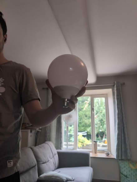 Photo of free Very large bulb (S6 hillsborough) #1