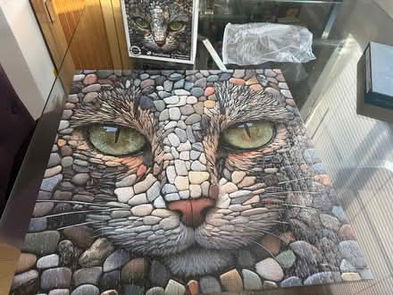 Photo of free 1000 piece puzzle (Eastlake) #1