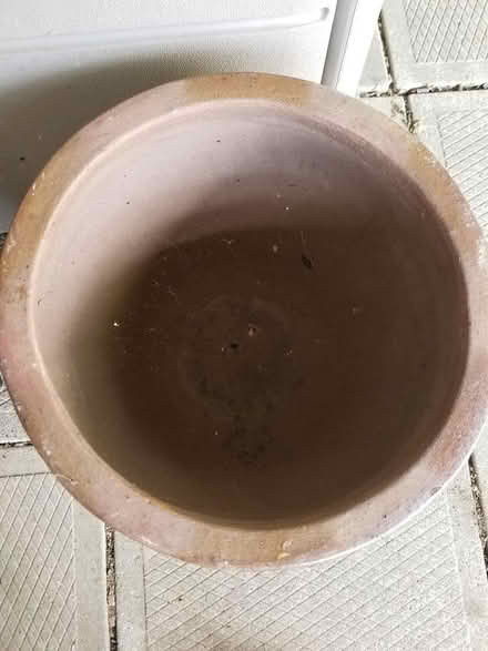 Photo of free Plant pot (Hunt Club) #2