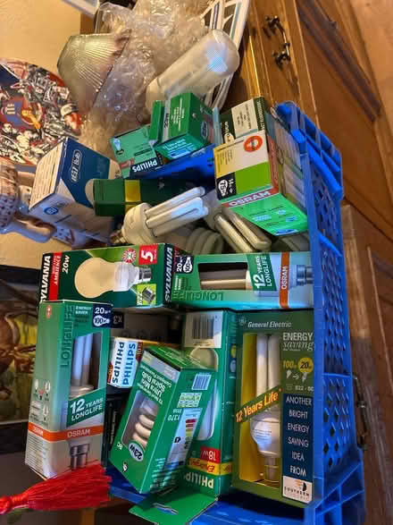 Photo of free Assorted electric light bulbs (London W3) #1