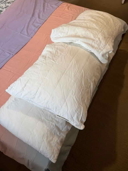 Photo of free Bed pillows (Bethnal green E1) #2