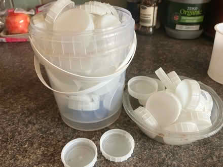 Photo of free Milk bottle caps (Morden) #1