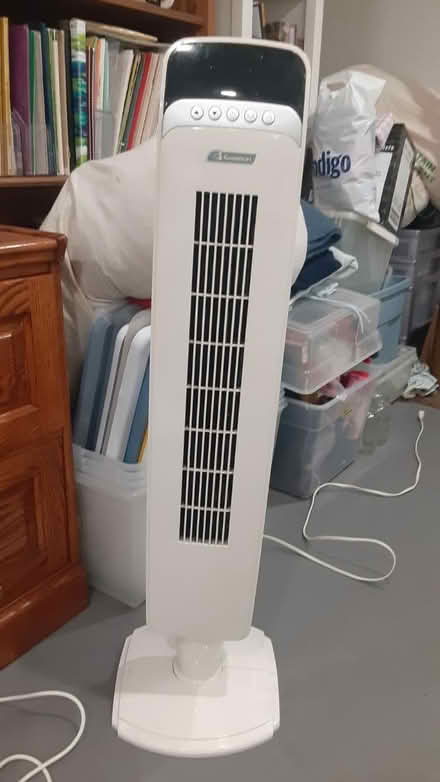 Photo of free Fans (Southdown and Truscott) #1