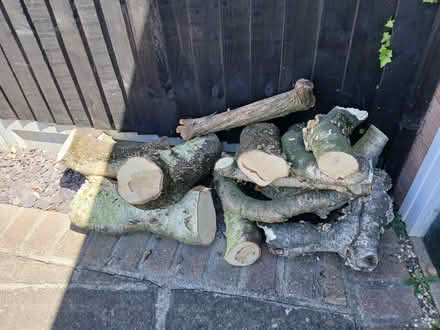 Photo of free logs (Tiptree CO5) #1