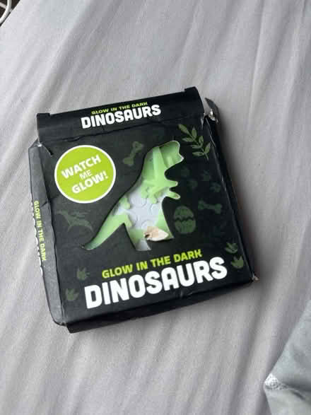Photo of free Glow in the dark dinosaurs (NG1 Centre) #1