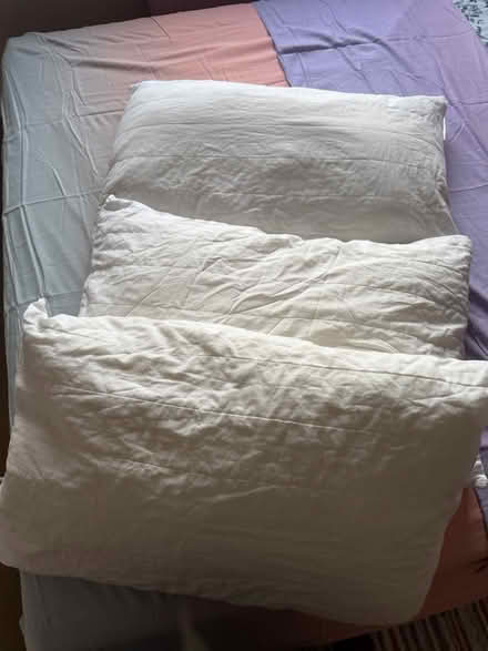 Photo of free Bed pillows (Bethnal green E1) #1