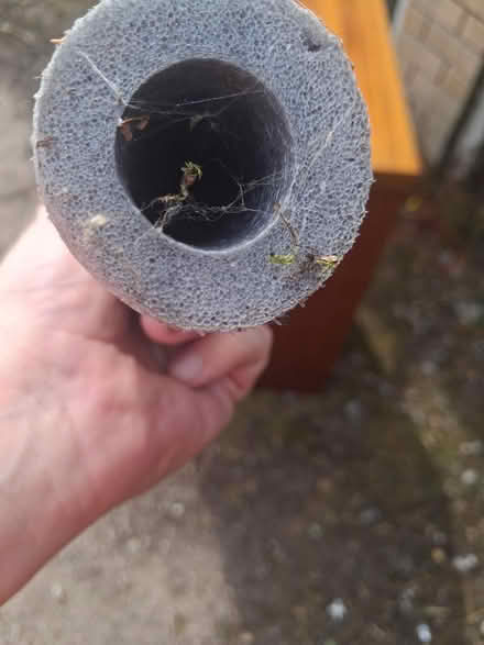 Photo of free Pipe lagging (Sidbury EX10) #2