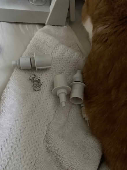 Photo of free Bedazzler (Leaside) #1