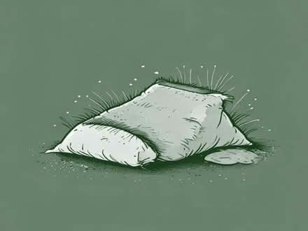 Photo of Artificial grass, sand bags and any chippings (Crofty SA4) #1