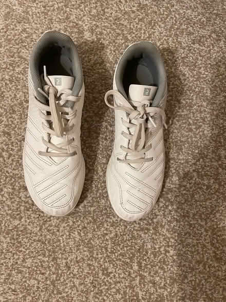 Photo of free Ladies size 4 (Appleton) #1