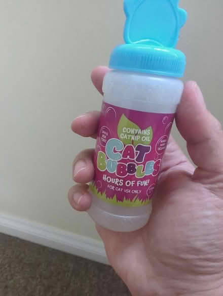 Photo of free Cat bubbles toy (Headington OX3) #1