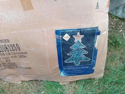 Photo of free Christmas lights (Yalding ME18) #2