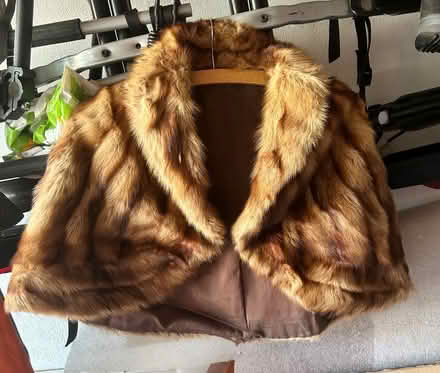 Photo of free Old Fur stole - small size (TW2 whitton) #1