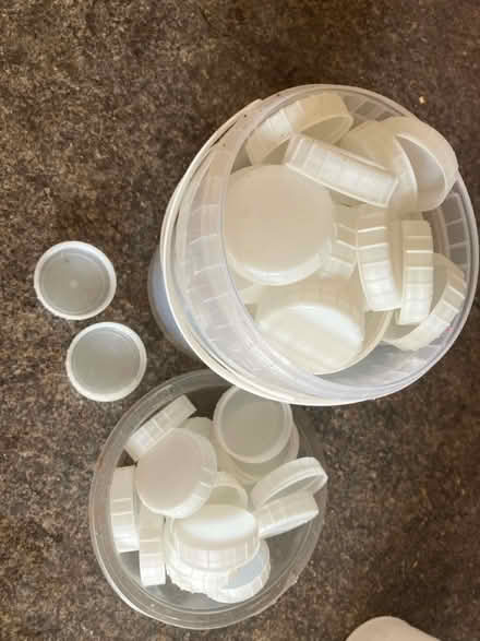 Photo of free Milk bottle caps (Morden) #2