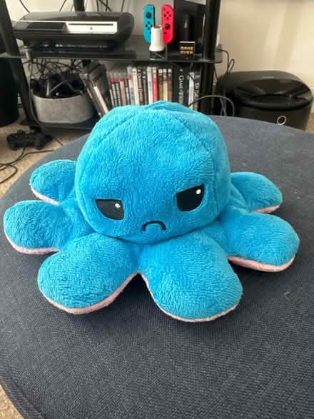 Photo of free Reversible octopus plush pink& blue (NG1 Centre) #2
