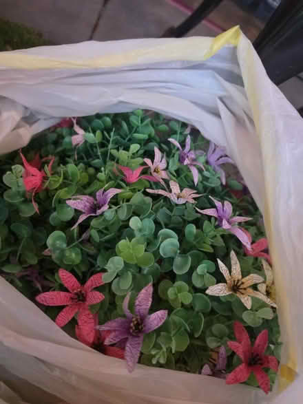 Photo of free Artificial Flowers+Baskets+Lights (Altofts WF6) #1