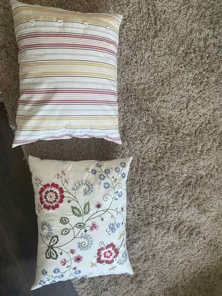 Photo of free Two cushions (South Woking GU22) #1