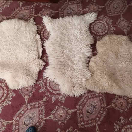 Photo of free Rugs (Dublin 16) #1