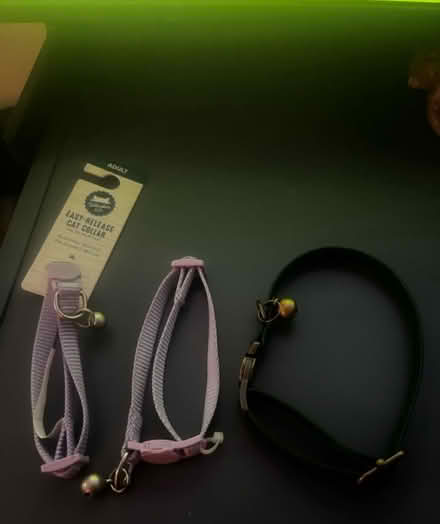 Photo of free Cat collars, basically new (Greensboro) #1