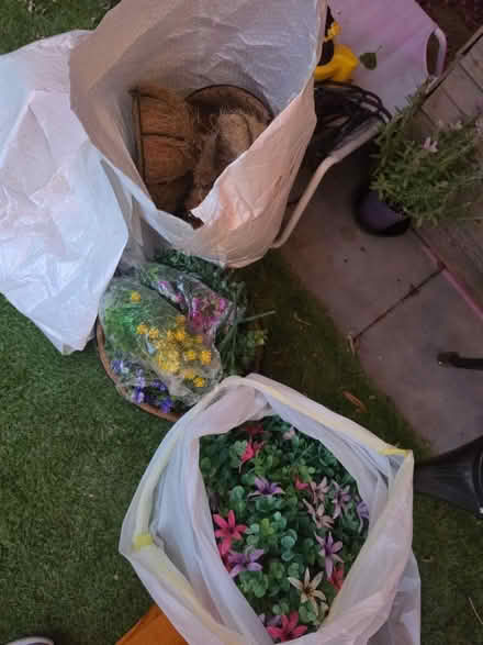 Photo of free Artificial Flowers+Baskets+Lights (Altofts WF6) #3