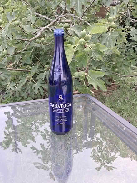 Photo of free Blue bottles (Green Run Lynnhaven/Holland) #1