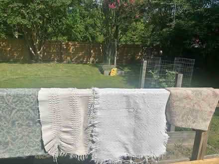 Photo of free Throw rugs (Edwin & Southern Pines, VB) #1
