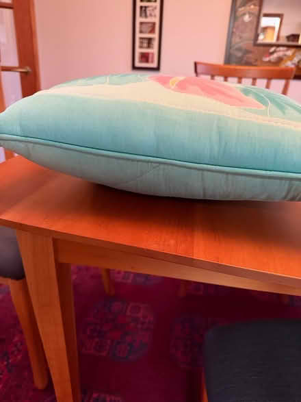 Photo of free pillow (White Oaks area of San Carlos) #2