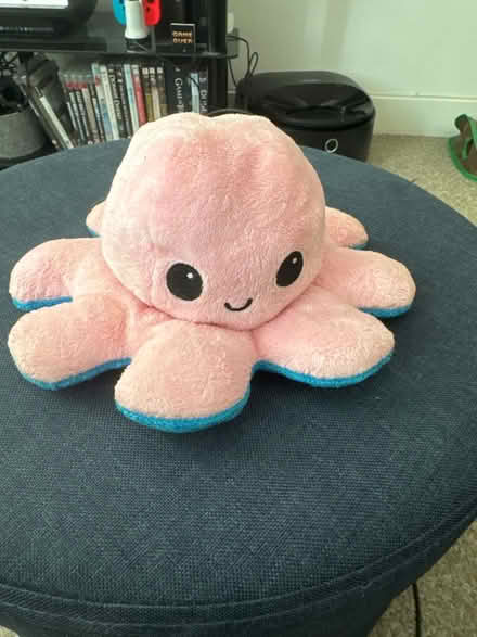 Photo of free Reversible octopus plush pink& blue (NG1 Centre) #1