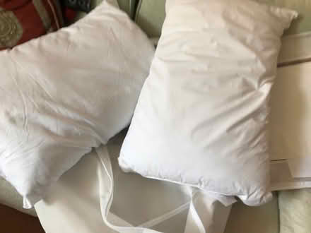 Photo of free Synthetic pillows (Shepherds Bush) #1