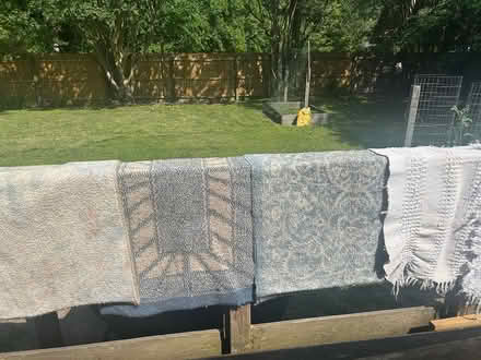 Photo of free Throw rugs (Edwin & Southern Pines, VB) #2