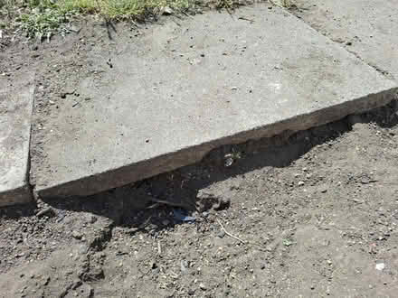 Photo of free Paving slabs (South Norwood, SE25) #1