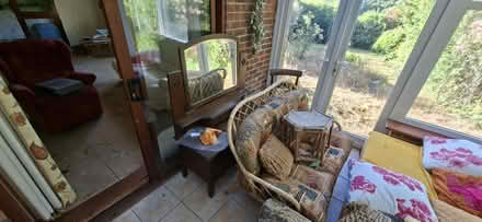 Photo of free Wicker Seat with Cushion (Shere) #1