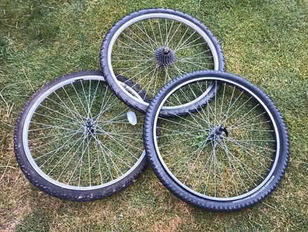 Photo of free MTB Bicycle Tyres (Nuthall NG16) #1