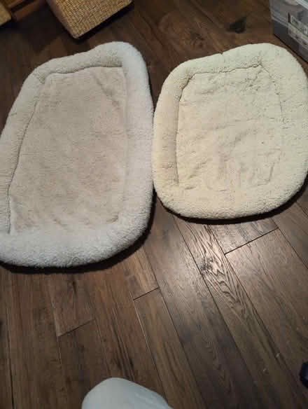 Photo of free Dog crate pads/ flat dog beds (Curtis Park) #1