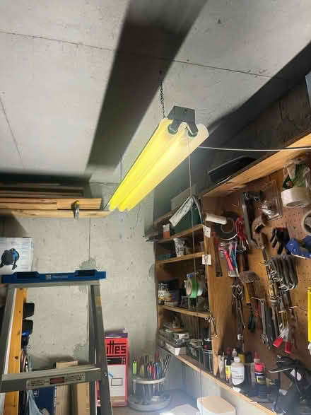 Photo of free Carpet, workshop light fixture (Old ottawa south) #2