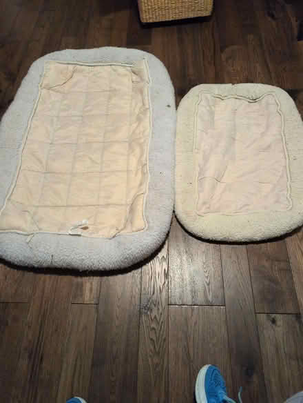 Photo of free Dog crate pads/ flat dog beds (Curtis Park) #3
